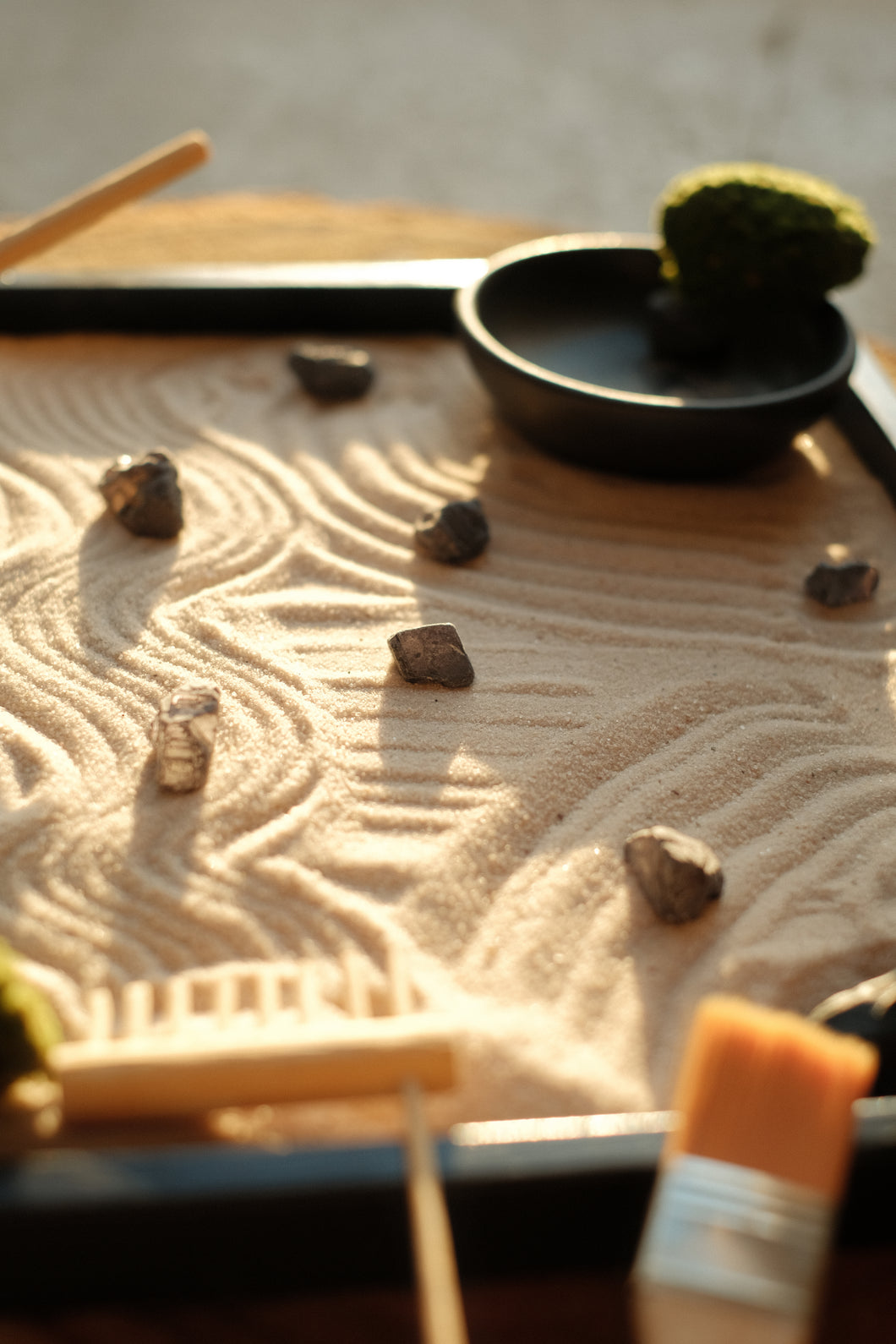 Mini zen garden